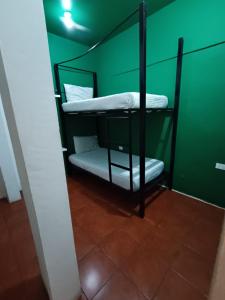ein Zimmer mit zwei Etagenbetten in einer grünen Wand in der Unterkunft Why Not Hotel in Antigua Guatemala