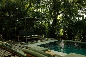 a swimming pool with chairs and a gazebo at Vila Figo in Trancoso +40 photos