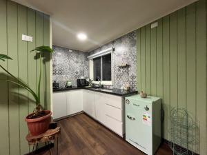a kitchen with green walls and a white refrigerator at Casita Nalca in Chaitén