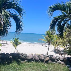 a sandy beach with palm trees and the ocean at Apartamento Ocean View in La Chumicosa