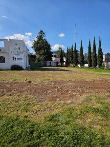 a dog standing in a field next to a building at Hotel del Carbón in Villa del Carbón