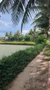 a dirt road next to a body of water at Lockhang homestay in Thanh Ðông (1)