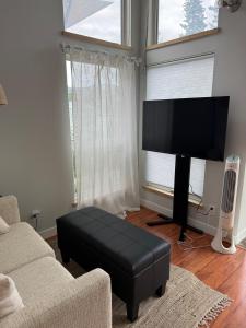 a living room with a couch and a flat screen tv at The Hanson Hideaway in Whitehorse