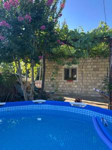a swimming pool in a yard with trees and a building at Kuća za odmor in Trebinje +9 photos