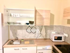 a kitchen with a sink and a microwave at Oasis Valley Karlovy Vary Center in Karlovy Vary