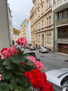 a bunch of red flowers on a street with cars at Oasis Valley Karlovy Vary Center in Karlovy Vary