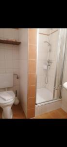 a bathroom with a shower and a toilet at Hotel Schachten in Lindberg