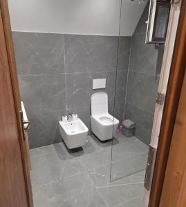a bathroom with a toilet and a sink at Mrizi i Drinit in Arrëz