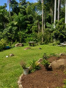 a park with a bench and a grass field at Liz B&B Hideaway in Saint Georgeʼs