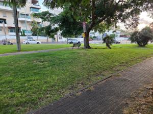 a park with a bench and a tree and grass at Slice of life in Qiryat Motzkin