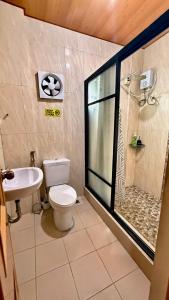 a bathroom with a shower and a toilet and a sink at Villa Lourdes in Alaminos
