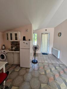 a kitchen with a white refrigerator and a counter at Ananuri Veranda-Guest House in Ananuri