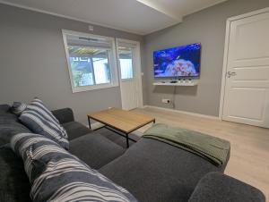 a living room with a couch and a tv at Modern 1BR City Centre Apt - Sleeps 4 in Otta