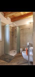 a bathroom with a shower and a toilet and a sink at Baita PUPILLE in Osteria Alpina +17 photos
