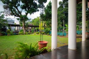 a plant in a pot on a porch with a yard at Eco Serenity Kandy in Kandy