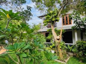 a house in the middle of a forest with trees at Chamikara Homestay in Sigiriya