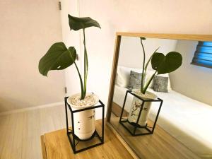 two potted plants on a table next to a mirror at Stayrium Sagajeong in Seoul