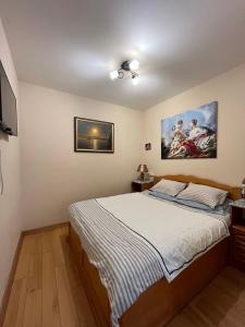 a bedroom with a bed and a painting on the wall at Private Apartment in Morshin