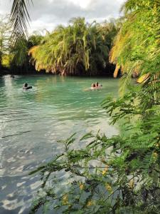 a group of people swimming in a body of water at Antique Lodge in Arusha