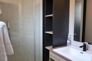 a bathroom with a sink and a mirror and a shower at Valterra Lodges à Châtillon-en-Diois in Châtillon-en-Diois