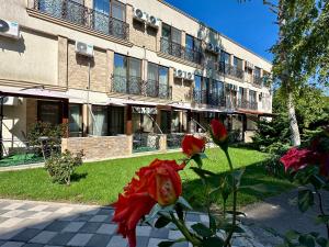 a red rose in front of a building at Hotel Nalba-Dalia Jupiter in Jupiter