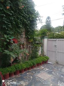 Gallery image of Guest house in Abbottabad