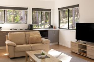 a living room with a couch and a flat screen tv at Oakey Creek Retreat in Gheerulla +20 photos