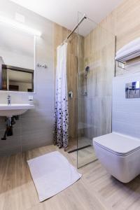 a bathroom with a shower and a toilet and a sink at Pensiunea ANDREI OCNELE MARI in Râmnicu Vâlcea +44 photos