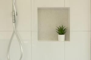 a bathroom with a shower and a plant on a shelf at Oakey Creek Retreat in Gheerulla