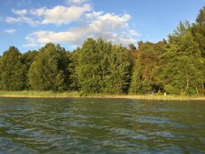 a body of water with trees in the background at Ferienhaus Lutowsee in Grammertin