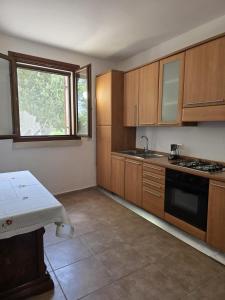 a kitchen with wooden cabinets and a sink and a window at Villa Kepos in Arnesano