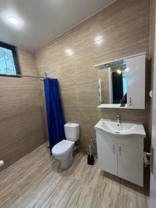 a bathroom with a toilet and a sink and a mirror at kaprovani Kako in Shekhvetili +125 photos