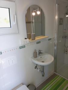 a bathroom with a sink and a shower at Tiny house TIA in Nova Gorica