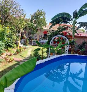a swimming pool in the yard of a house at B&B Marino E Lily in Baratili San Pietro