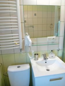 a bathroom with a toilet and a sink at Noclegi U Fela in Ustrzyki Dolne +89 photos