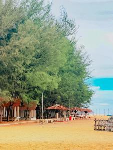 a large tree on a beach with a building at Juda Holiday Villa in Batticaloa