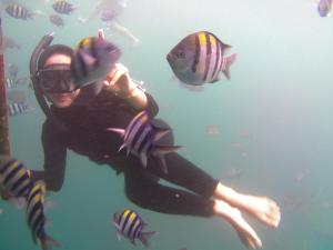 a woman swimming in the water with fish at Taba Yama Trip & Homestay in Ketapang