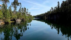 a large lake with trees on the side of it at Lange Hans Rennsteig in Oberschönau