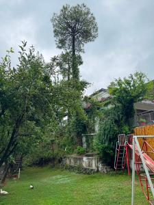 a view of a yard with a tree at Velenburg Retreat in Upper Topa