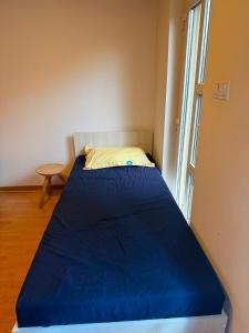 a blue bed in a room with a window at Casa Baciului,Cluj-Napoca in Cluj-Napoca