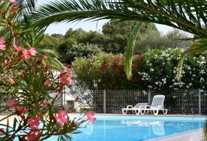 two white chairs sitting next to a swimming pool at Camping Pezza Cardo in Porto-Vecchio