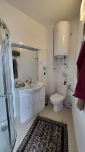 a bathroom with a sink and a toilet and a shower at Schubert's in Bruckneudorf