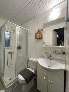 a bathroom with a shower and a toilet and a sink at Seaside Garden Galaxidi in Galaxidi +90 photos