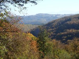 Naturlandschaft in der Nähe des Ferienhauses