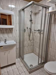 a bathroom with a shower and a sink at Tinas Ferienwohnung in Kröv