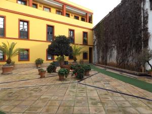 um pátio de um edifício com vasos de plantas em Alameda Donkey Parking em Sevilha