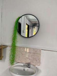 a mirror above a sink in a bathroom at Durian Chalet in Kuala Tahan +55 photos