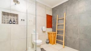 a bathroom with a ladder next to a toilet at Bosveld In Die Stad 2 Guesthouse in Alberton