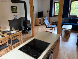 a kitchen and living room with a stove top oven at Apartmán Niky u Klínovce in Jáchymov