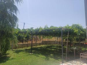 a pergola in a yard with a bench at Hamit House Vacation in Fier
